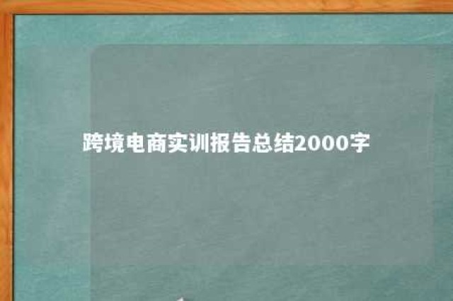 跨境电商实训报告总结2000字 跨境电商实训报告1000字